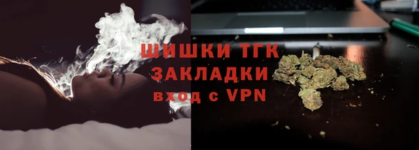 прущие грибы Карпинск