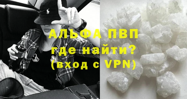 прущие грибы Карпинск