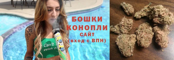 прущие грибы Карпинск