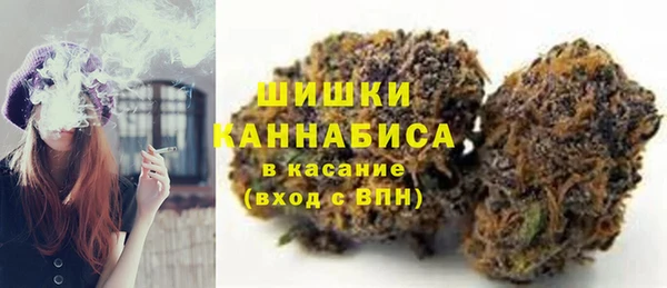прущие грибы Карпинск
